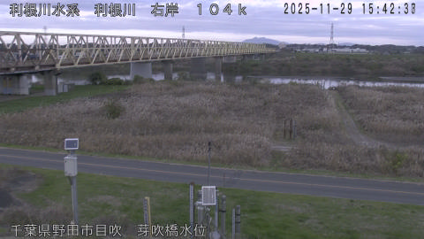 tonme2025112916_image