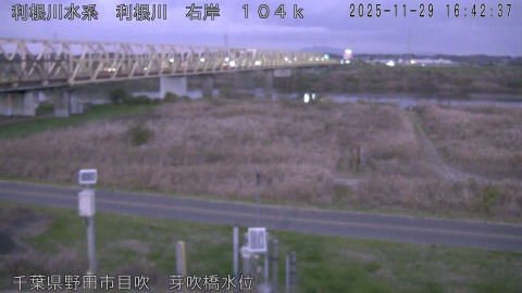 tonme2025112917_image