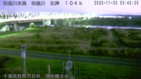 tonme2025113006_image