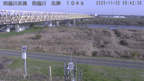 tonme2025113010_image