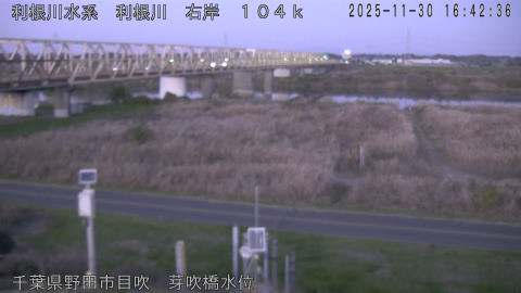 tonme2025113017_image