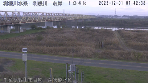 tonme2025120108_image