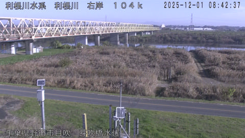 tonme2025120109_image