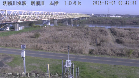 tonme2025120110_image