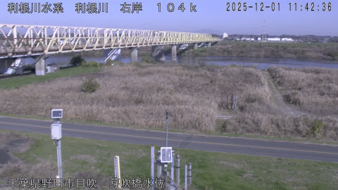 tonme2025120112_image