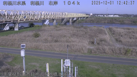 tonme2025120113_image