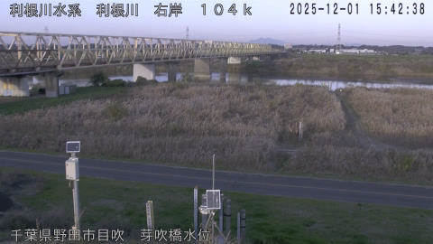 tonme2025120116_image