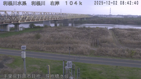 tonme2025120209_image