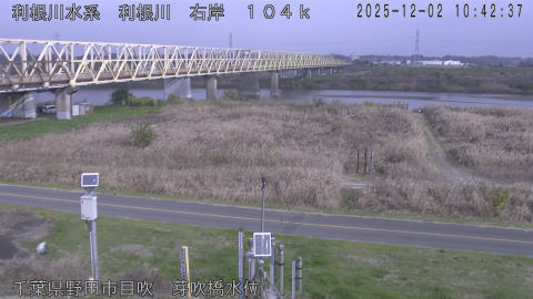 tonme2025120211_image