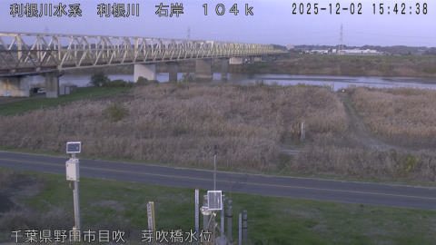 tonme2025120216_image