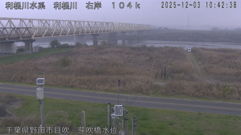 tonme2025120311_image