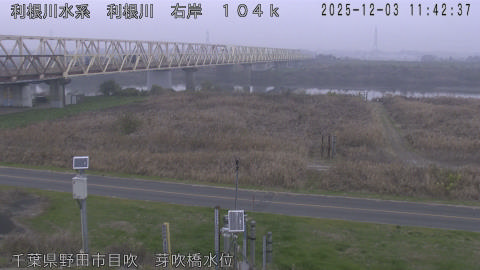 tonme2025120312_image