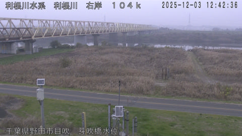 tonme2025120313_image