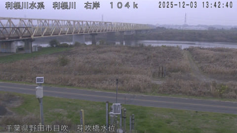 tonme2025120314_image