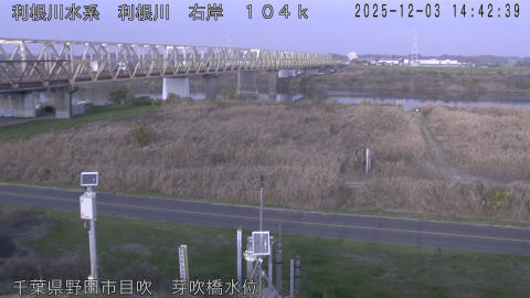 tonme2025120315_image