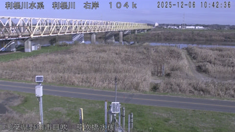 tonme2025120611_image