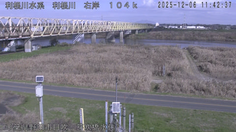 tonme2025120612_image