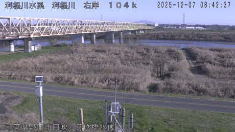 tonme2025120709_image