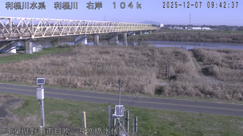 tonme2025120710_image