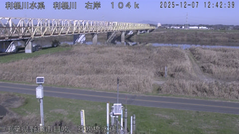 tonme2025120713_image