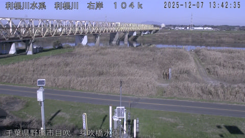 tonme2025120714_image