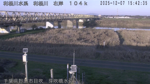 tonme2025120716_image