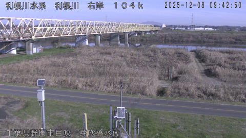 tonme2025120810_image