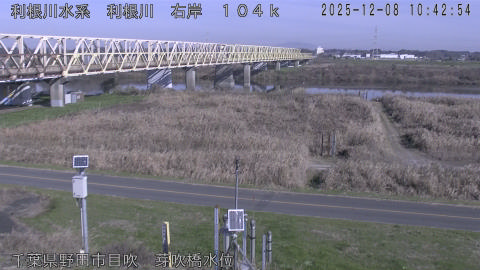 tonme2025120811_image