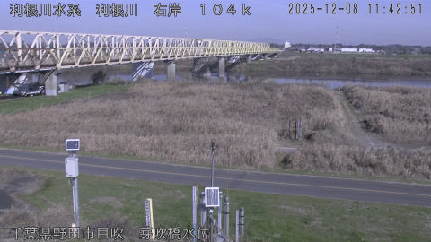 tonme2025120812_image