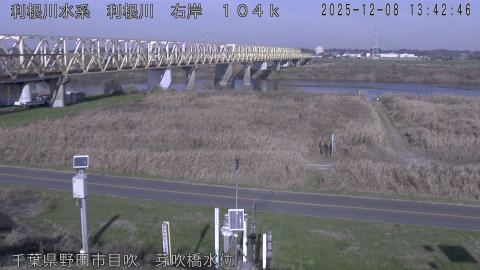 tonme2025120814_image