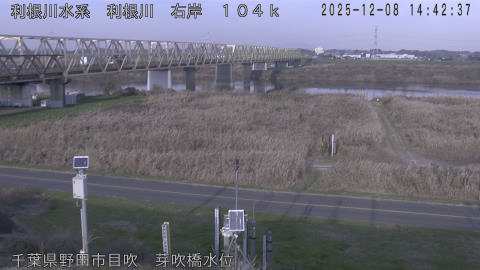 tonme2025120815_image