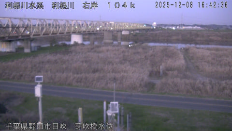 tonme2025120817_image