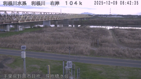 tonme2025120907_image