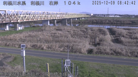 tonme2025120909_image