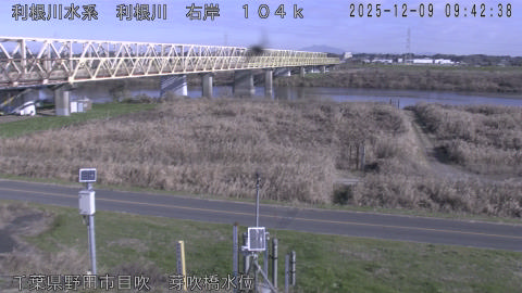 tonme2025120910_image