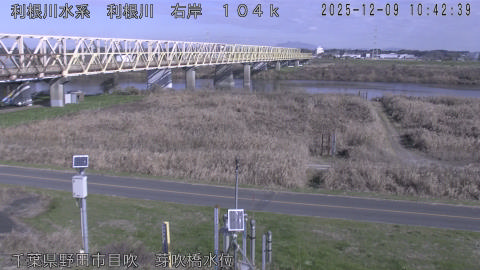 tonme2025120911_image