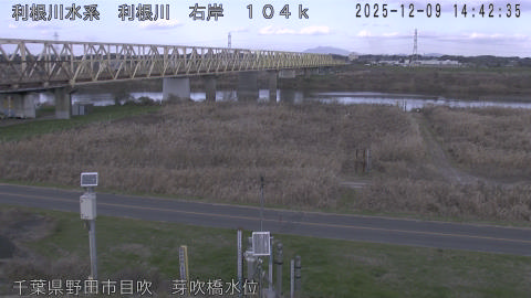 tonme2025120915_image