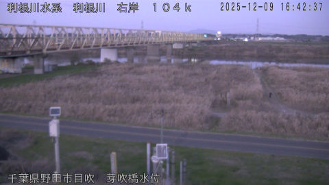 tonme2025120917_image