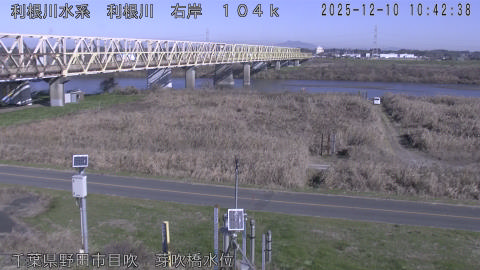 tonme2025121011_image