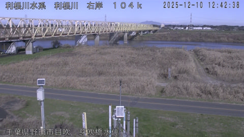 tonme2025121013_image