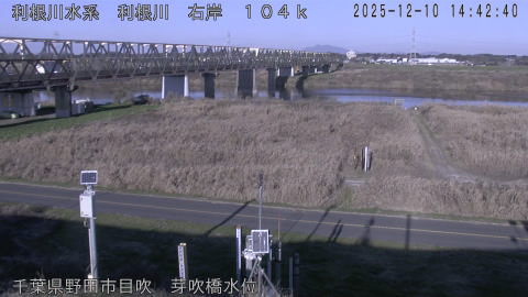 tonme2025121015_image