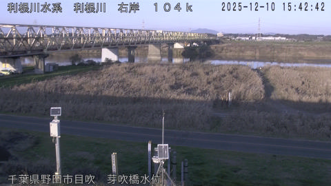 tonme2025121016_image