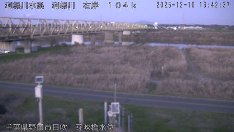 tonme2025121017_image