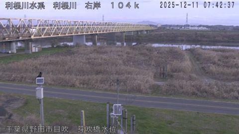 tonme2025121108_image