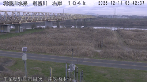 tonme2025121109_image