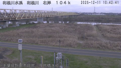 tonme2025121111_image