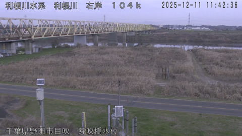 tonme2025121112_image