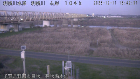 tonme2025121117_image