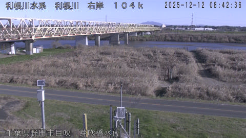 tonme2025121209_image