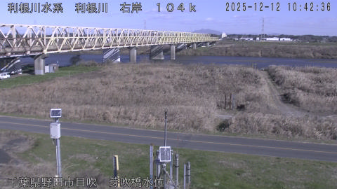 tonme2025121211_image